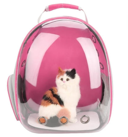 Transparent Pet Travel Bag with Bubble Window – Breathable Cat & Small Dog Shoulder Carrier