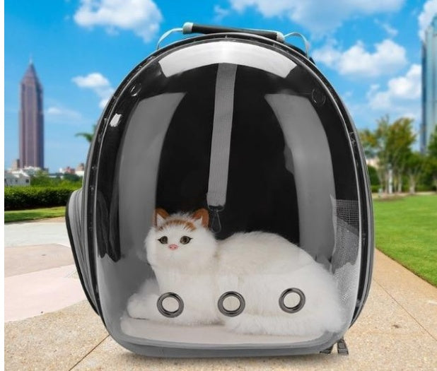 Transparent Pet Travel Bag with Bubble Window – Breathable Cat & Small Dog Shoulder Carrier